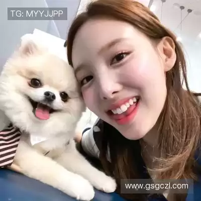 魏维戈